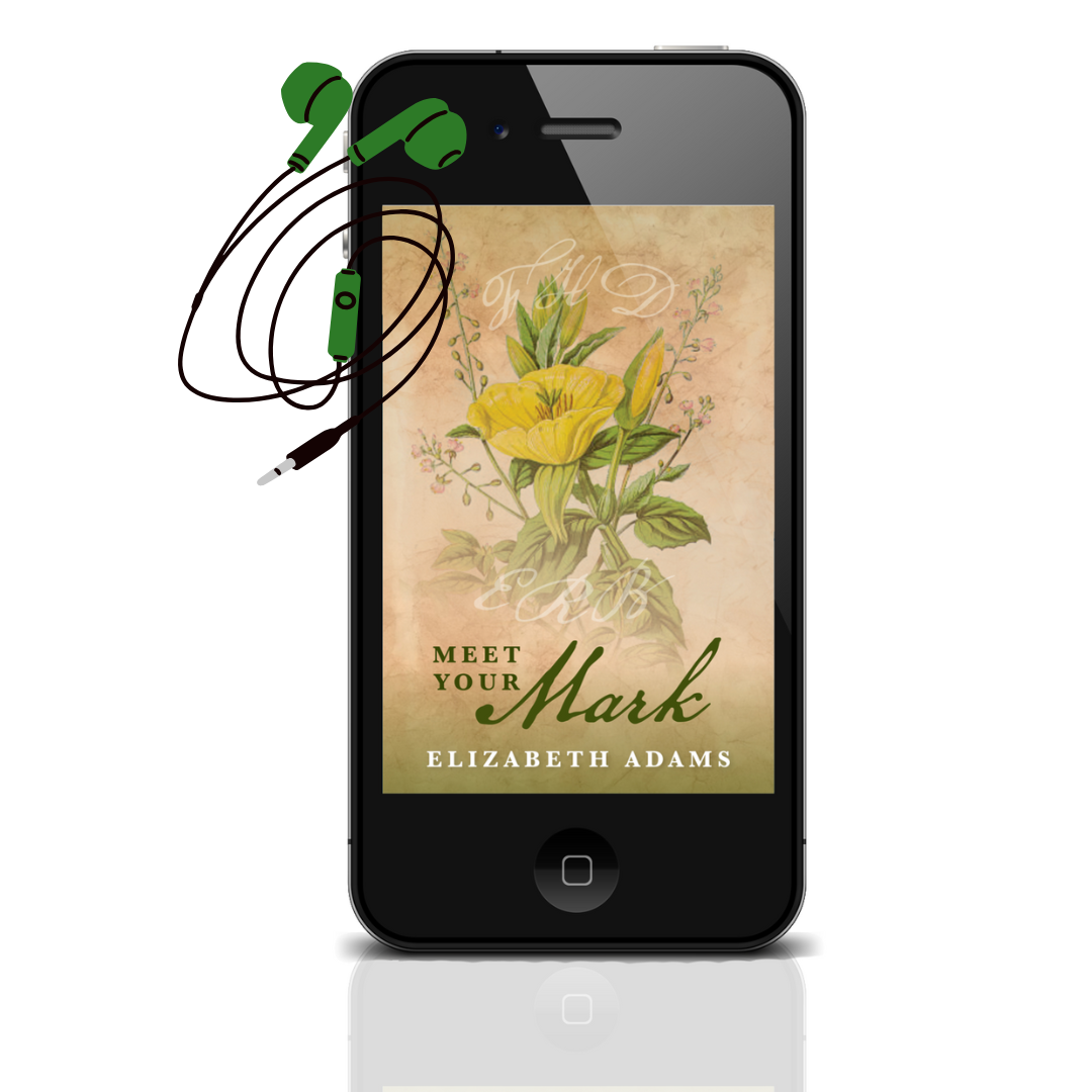 Meet Your Mark E-book