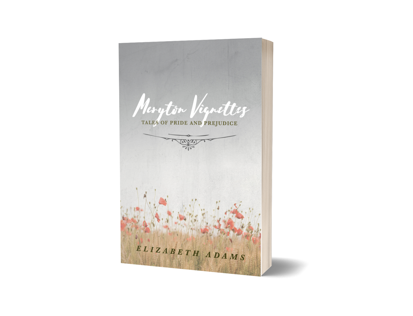 Meryton Vignettes: Tales of Pride and Prejudice E-book