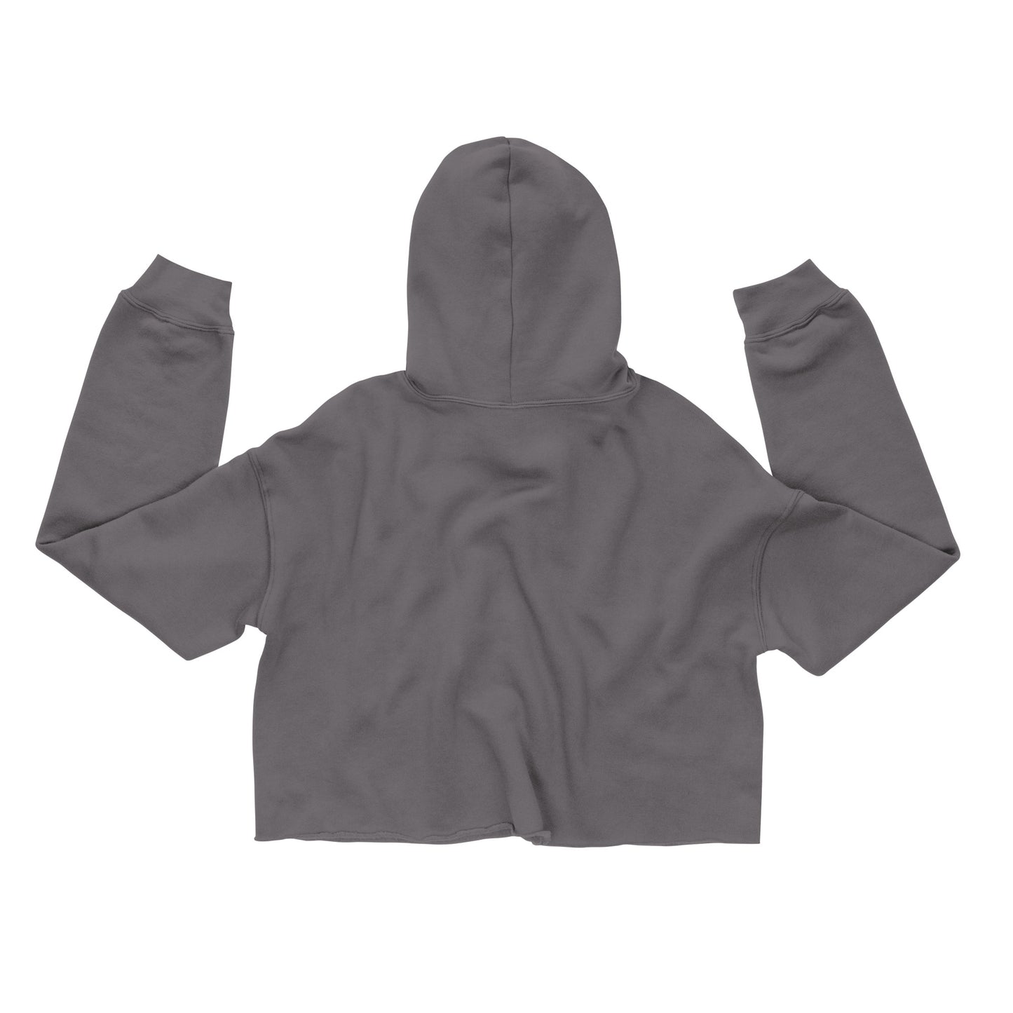 Book Lovers Crop Hoodie