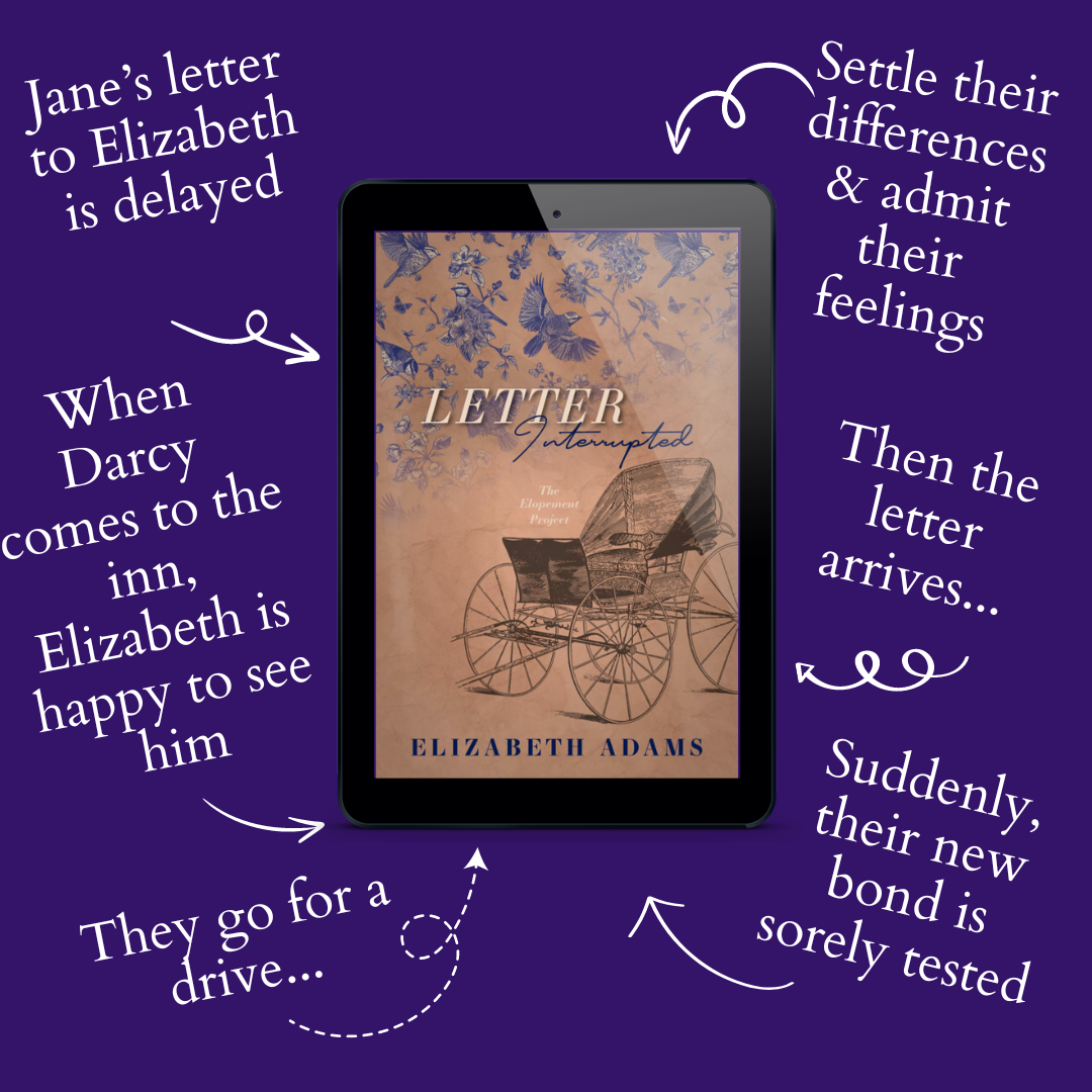 The Elopement Project - Complete Series - Paperback