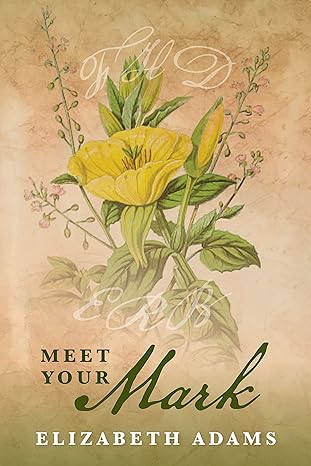 Meet Your Mark E-book
